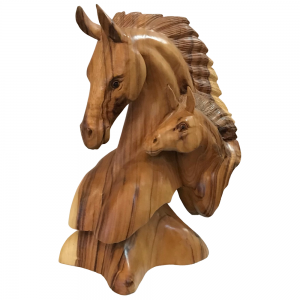 cabeca-de-cavalo-1