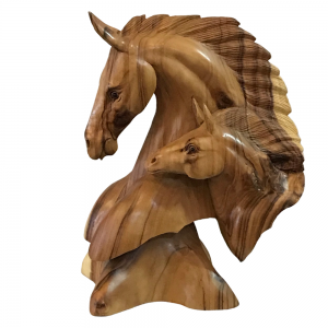 cabeca-de-cavalo