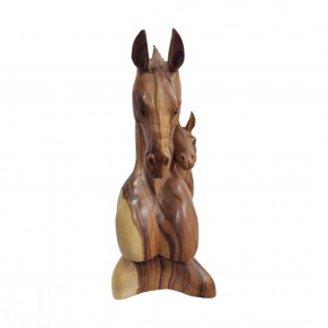cabeça-de-cavalo-3-1643054882